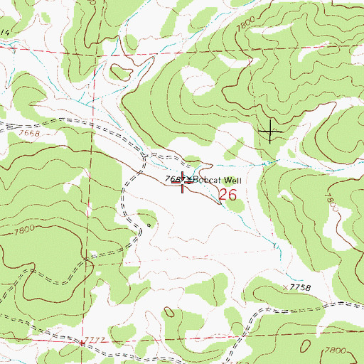 Topographic Map of Bobcat Well, NM