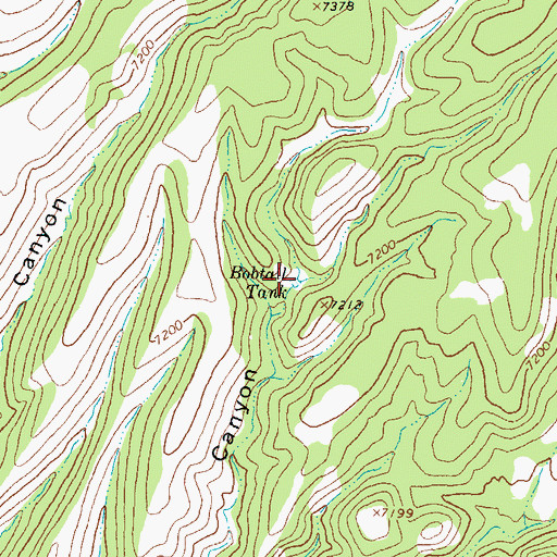 Topographic Map of Bobtail Tank, NM