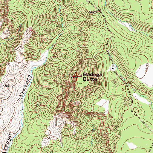Topographic Map of Bodega Butte, NM