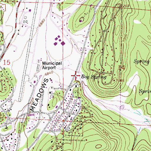 Topographic Map of Bog Spring, NM