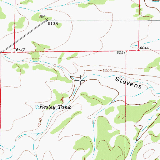 Topographic Map of Bonita Draw, NM