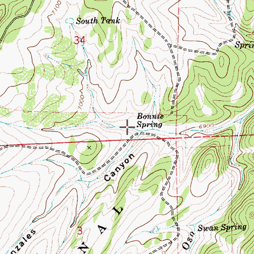 Topographic Map of Bonnie Spring, NM