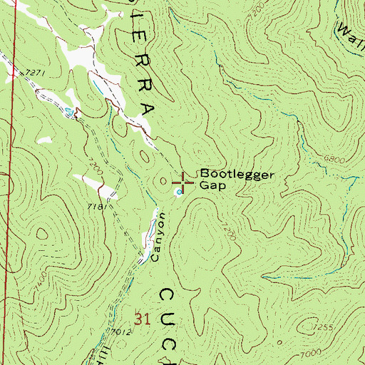 Topographic Map of Bootlegger Gap, NM