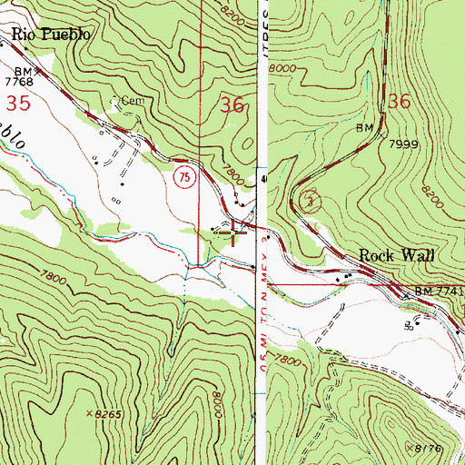 Topographic Map of Borrego Canyon, NM