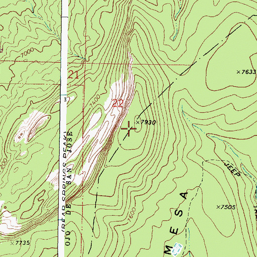 Topographic Map of Borrego Mesa, NM