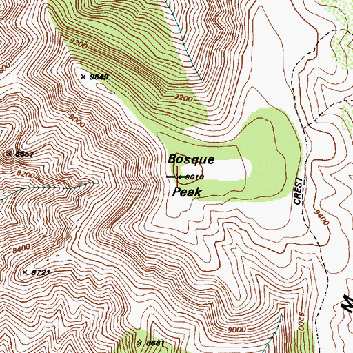 Topographic Map of Bosque Peak, NM