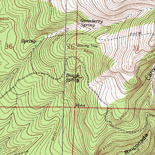 Topographic Map of Bosque Spring, NM