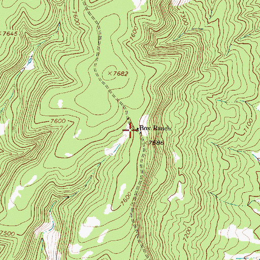Topographic Map of Box Ranch, NM