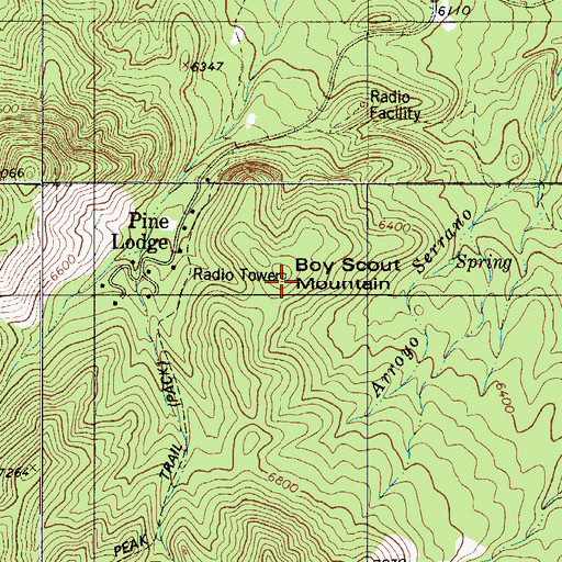 Topographic Map of Boy Scout Mountain, NM
