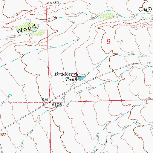 Topographic Map of Bradberry Tank, NM