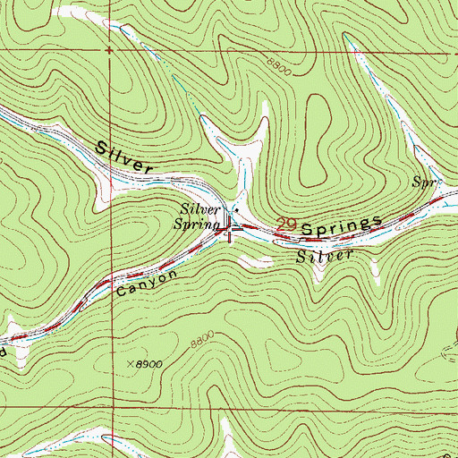 Topographic Map of Bradford Canyon, NM