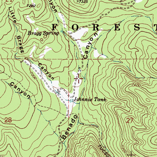 Topographic Map of Bragg Canyon, NM