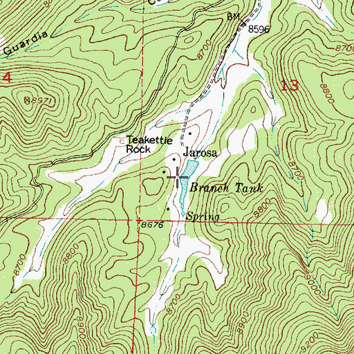 Topographic Map of Branch Tank, NM