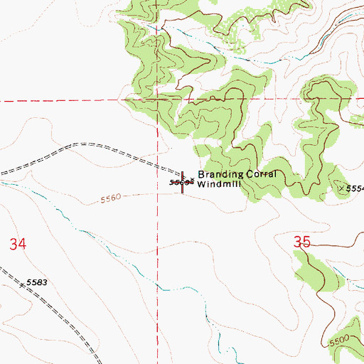 Topographic Map of Branding Corral Windmill, NM