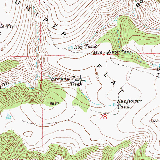 Topographic Map of Brandy Tree Tank, NM