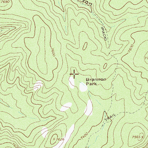 Topographic Map of Brannon Park, NM