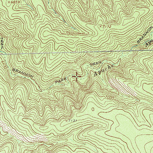 Topographic Map of Brannon Park Trail, NM