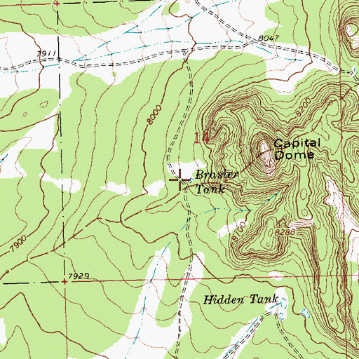 Topographic Map of Brasier Tank, NM