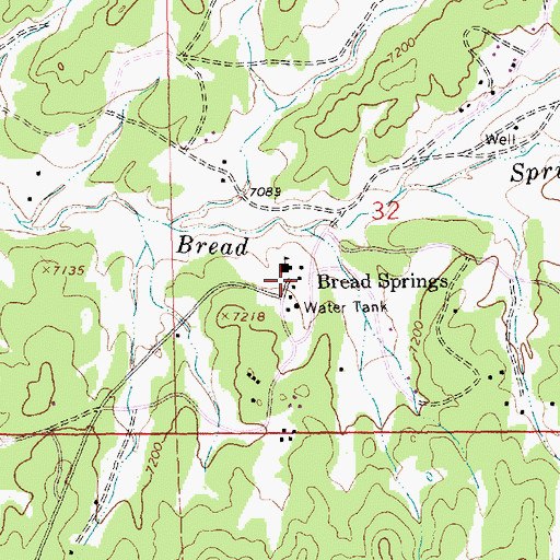 Topographic Map of Bread Springs, NM