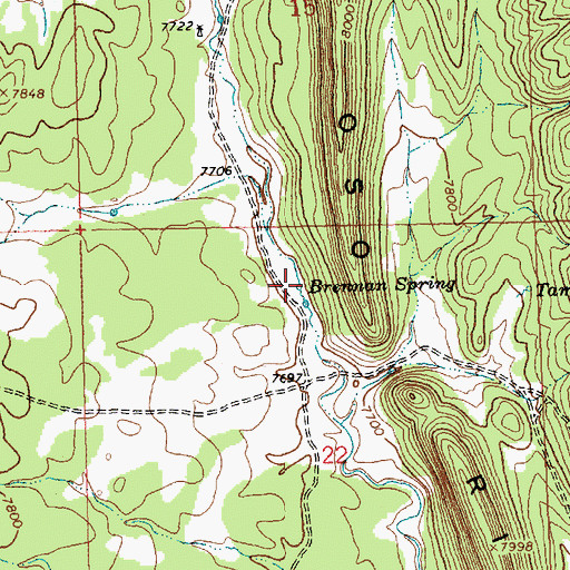 Topographic Map of Brennan Spring, NM