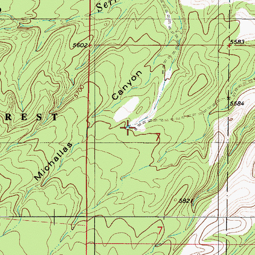 Topographic Map of Brills Upper Ranch (historical), NM