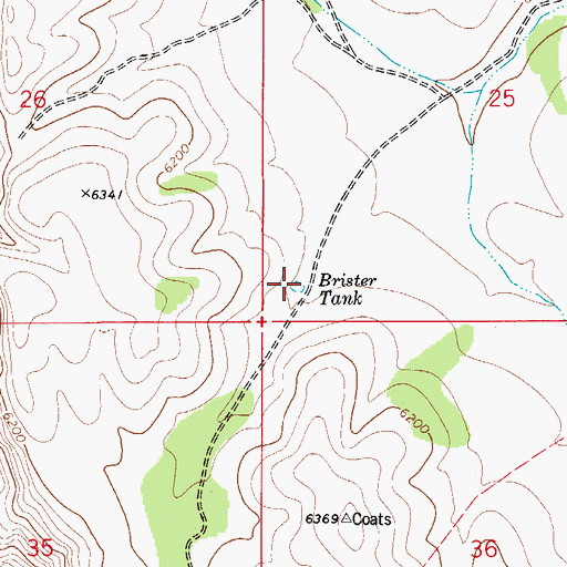 Topographic Map of Brister Tank, NM