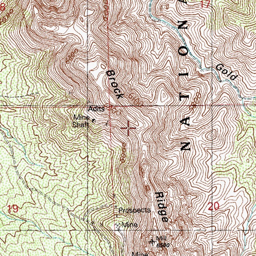 Topographic Map of Brock Ridge, NM