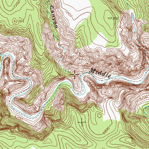 Topographic Map of Brothers West Canyon, NM