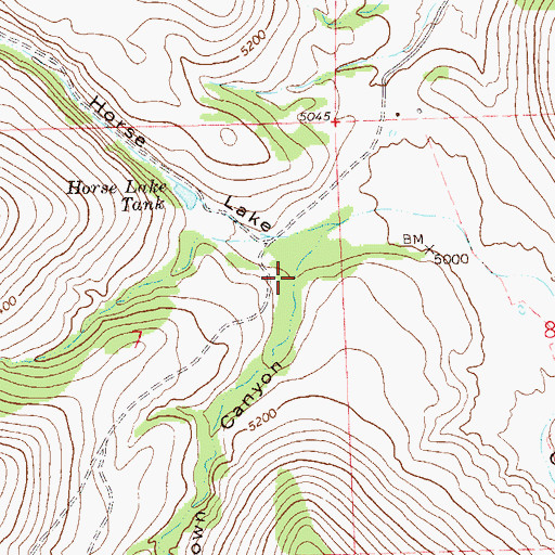 Topographic Map of Brown Canyon, NM