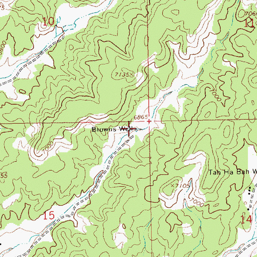 Topographic Map of Browns Well, NM
