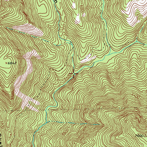 Topographic Map of Brush Canyon, NM
