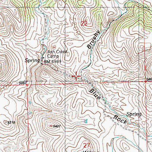Topographic Map of Brushy Canyon, NM