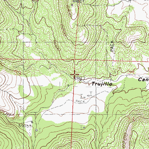 Topographic Map of Brushy Canyon, NM