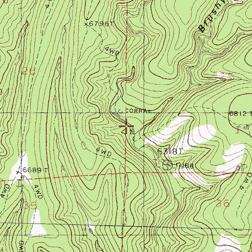 Topographic Map of Brushy Canyon, NM