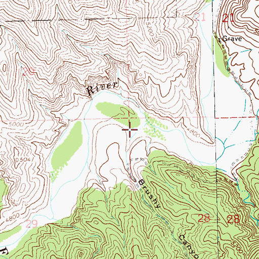 Topographic Map of Brushy Canyon, NM