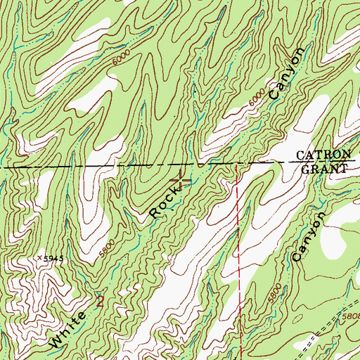 Topographic Map of Brushy Canyon, NM
