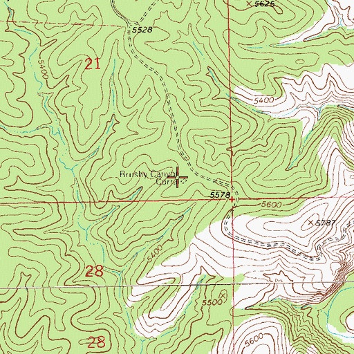 Topographic Map of Brushy Canyon Corral, NM