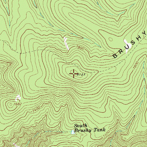 Topographic Map of Brushy Mountain, NM