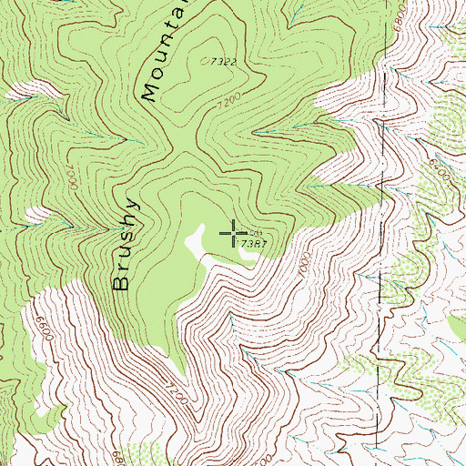 Topographic Map of Brushy Mountain, NM