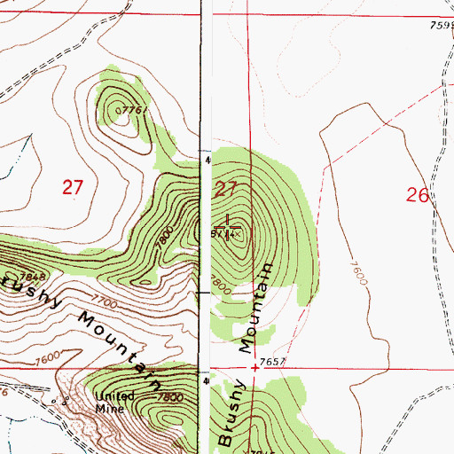 Topographic Map of Brushy Mountain, NM