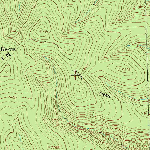 Topographic Map of Brushy Mountain Trail, NM