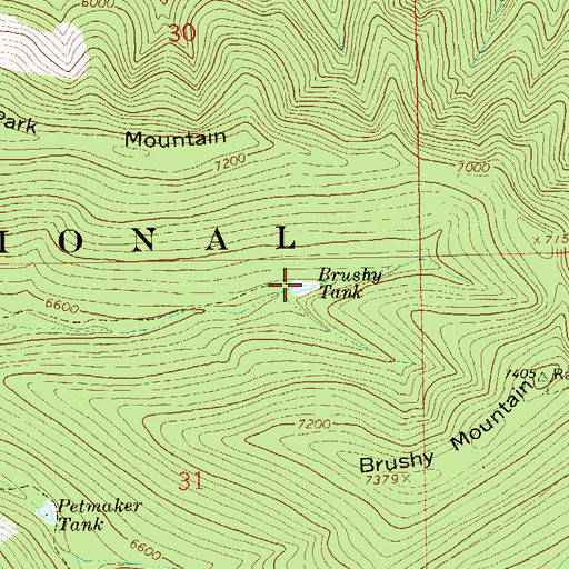 Topographic Map of Brushy Tank, NM