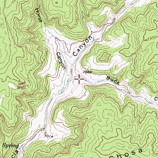 Topographic Map of Buck Canyon, NM