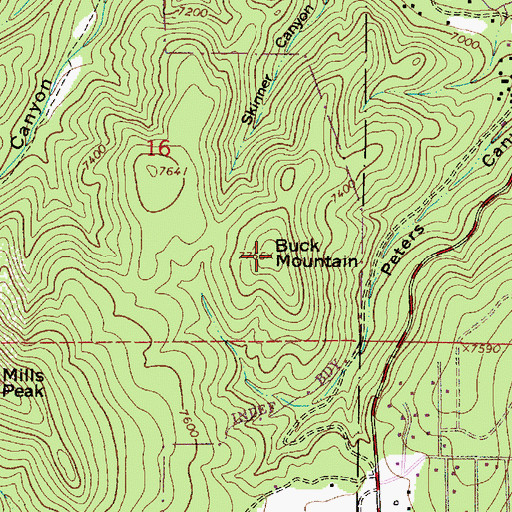 Topographic Map of Buck Mountain, NM