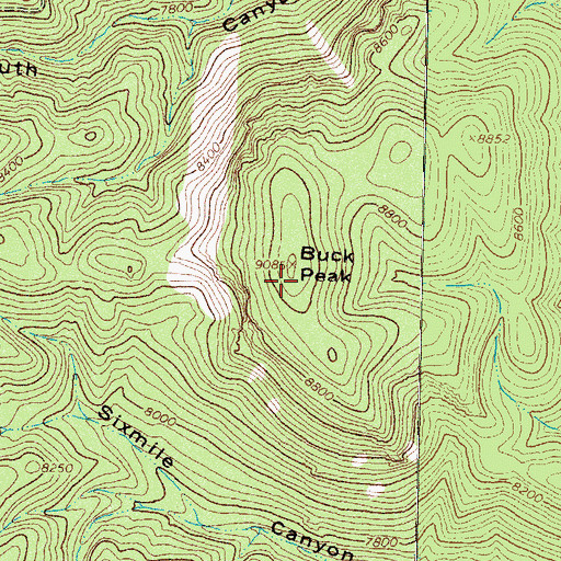 Topographic Map of Buck Peak, NM