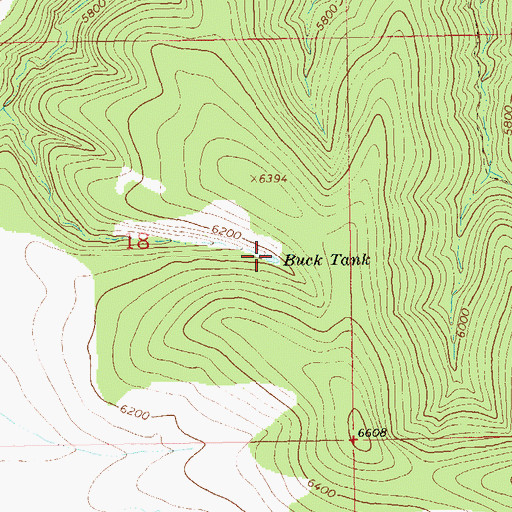 Topographic Map of Buck Tank, NM