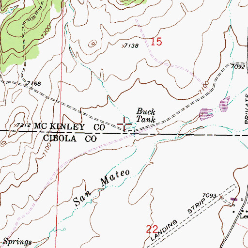 Topographic Map of Buck Tank, NM