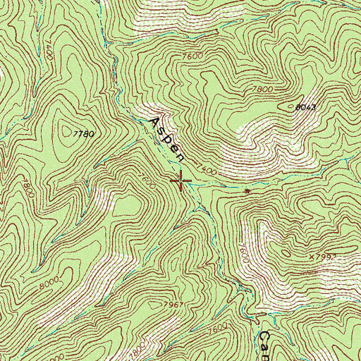 Topographic Map of Buckhead Canyon, NM