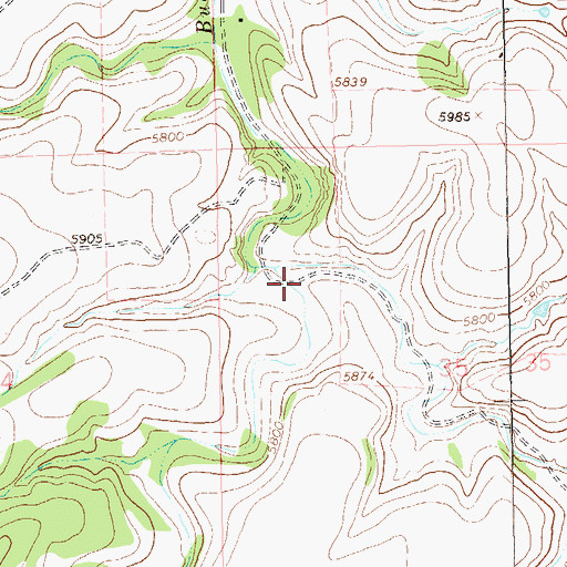 Topographic Map of Buckhorn Draw, NM
