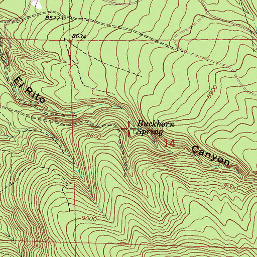 Topographic Map of Buckhorn Spring, NM